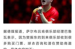 开云体育登录-德国队翻盘中国队，樊振东关键制胜的简单介绍